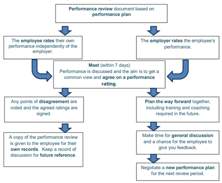 flow chart performance review process